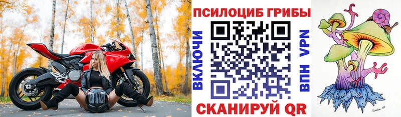 Галлюциногенные грибы Psilocybe  Купить закладки  Биробиджан 