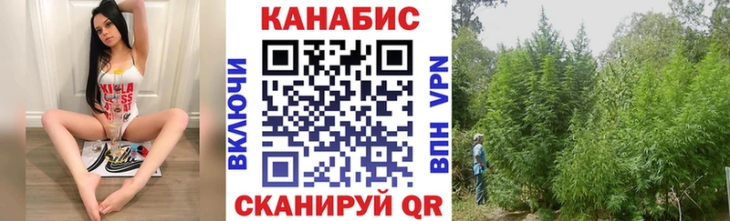 Шишки марихуана Ganja  Купить закладки  Биробиджан 